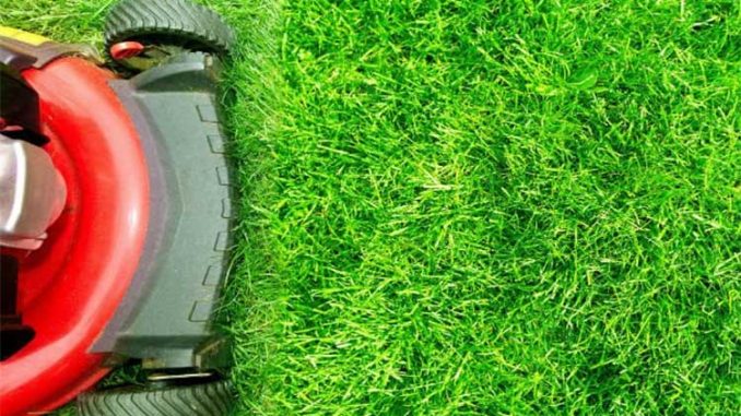 HOW SOON CAN YOU MOW YOUR LAWN AFTER FERTILIZING IT
