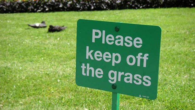 How Long Should You Stay Off Your Grass After Fertilizing It?