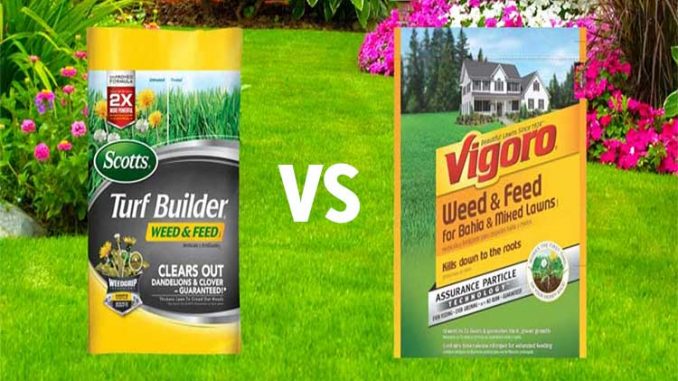 Scotts Vs Vigoro Fertilizer Gardenhugs Com