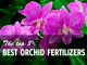 Best Fertilizer for Orchids