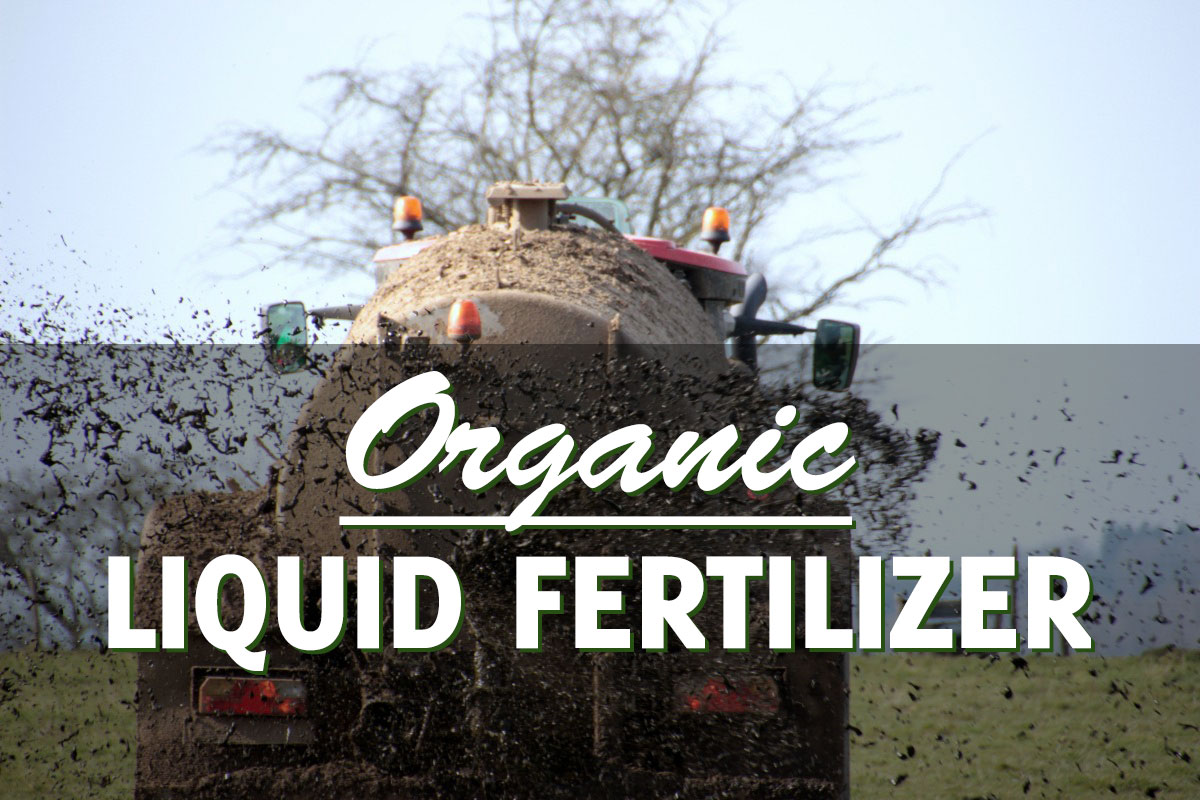 How to make organic liquid fertilizer gardenhugs