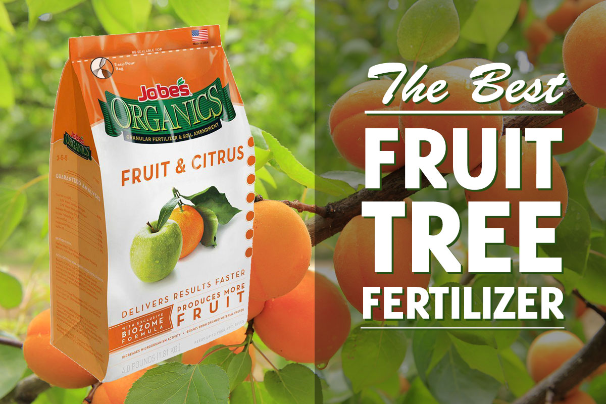 What is the Best Fruit Tree Fertilizer? Jobe's Organics Fruit & Citrus