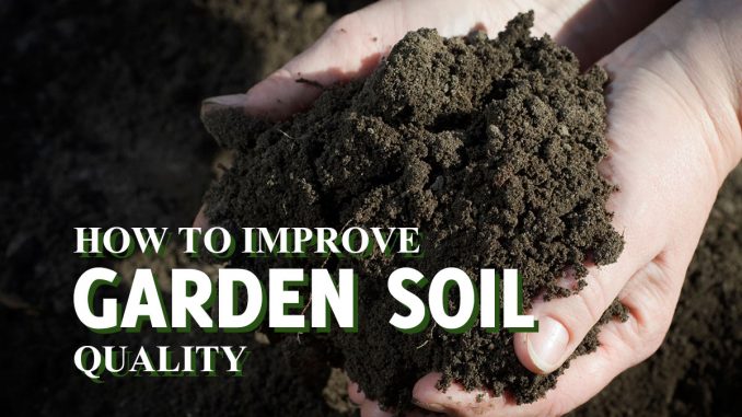 How To Improve Garden Soil Quality