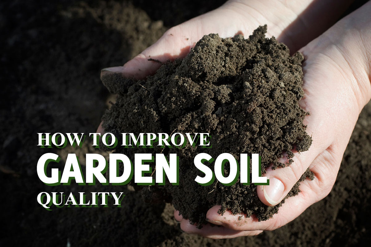 how-to-improve-garden-soil-quality-gardenhugs