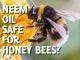 Is neem oil safe for bees?